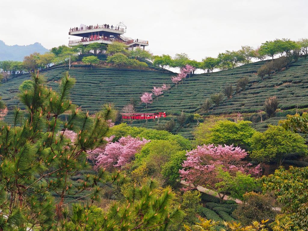 844647ef66a79b94caee557679b23b6.jpg 844647ef66a79b94caee557679b23b6.jpg